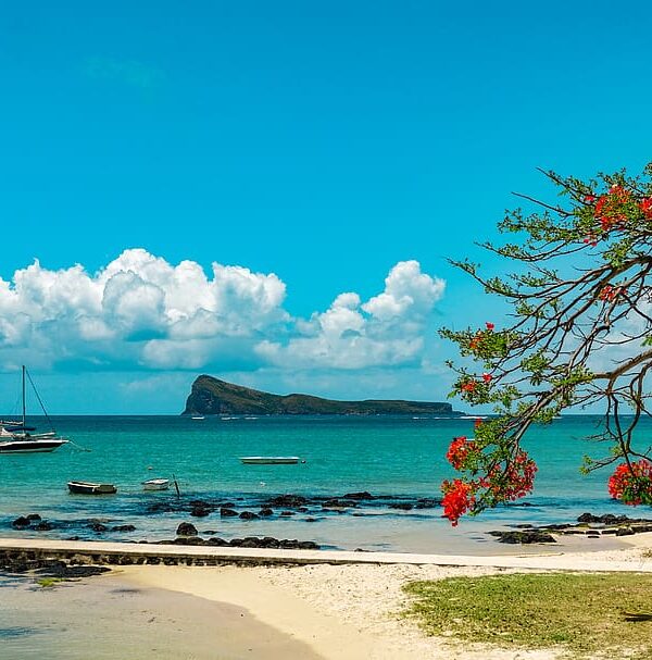 Tropical Mauritius