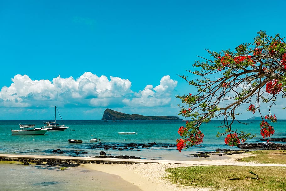 Tropical Mauritius