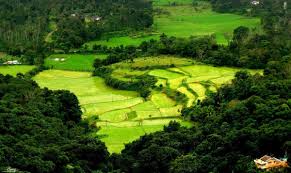 Top Places to Visit in Coorg – Nature, Coffee & Culture