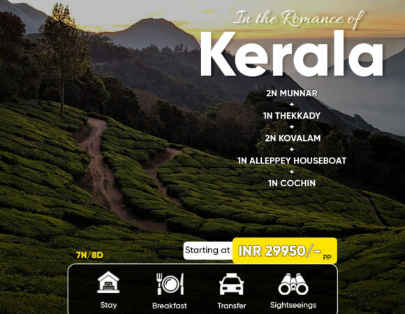 Munnar, Kovalam, Alleppey Houseboat & More | 7N/8D