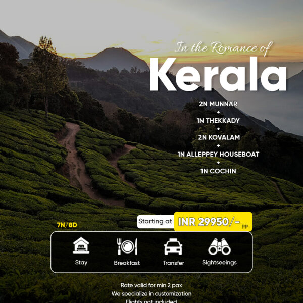Munnar, Kovalam, Alleppey Houseboat & More | 7N/8D