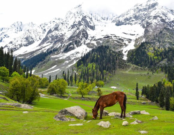Kashmir Travel Guide – Top Places to Visit, Eat & Experience